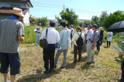 伏原大塚古墳前.jpg