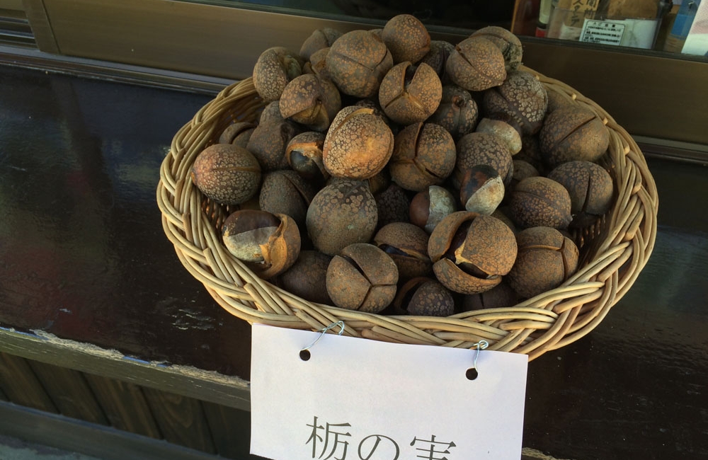 食べ物2.jpg