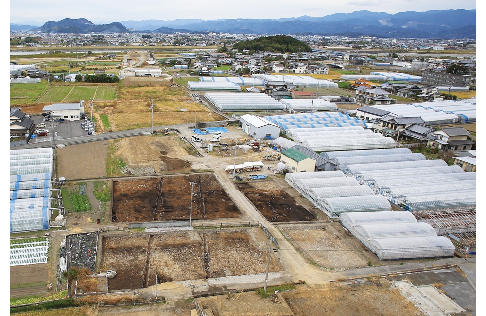 高田1.jpg