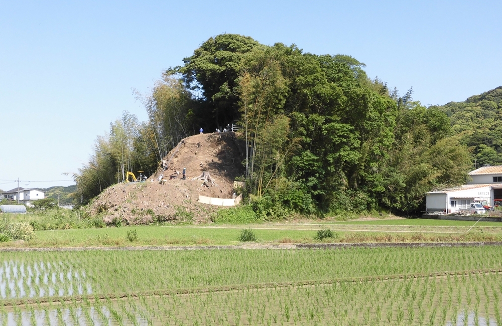 森山城（詳細）.jpg