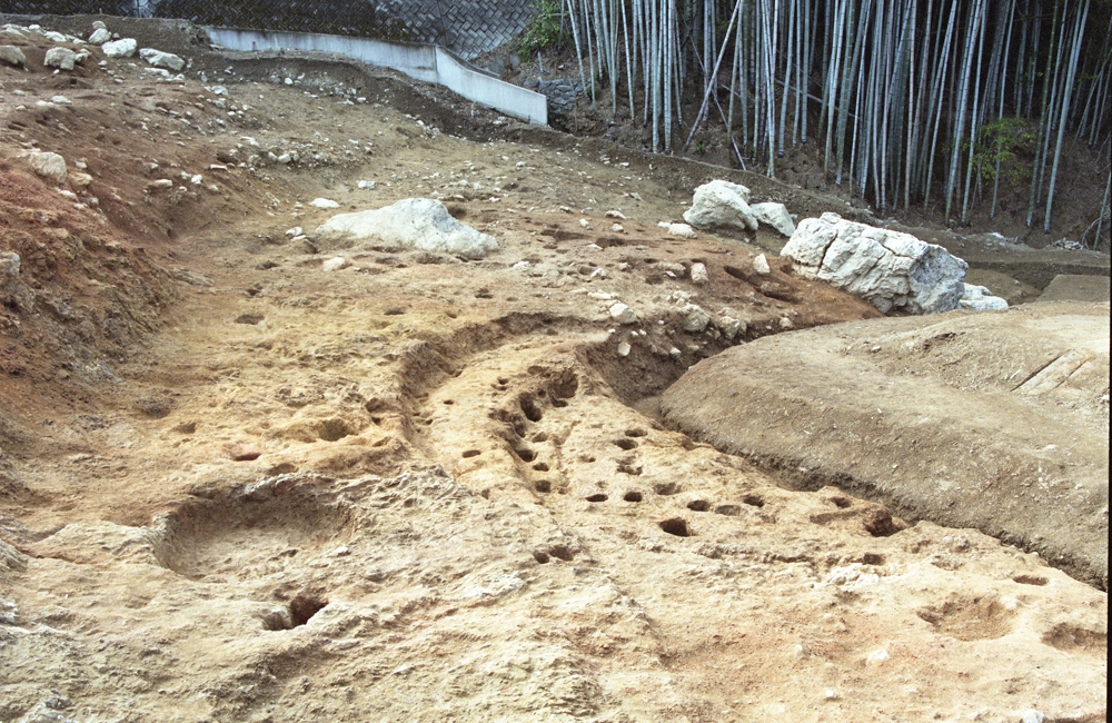 07_考古学研究の世界②（バーガ森北斜面遺跡）.jpg