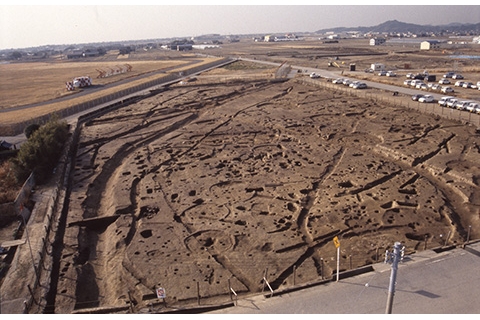 田村遺跡-集落跡.jpg